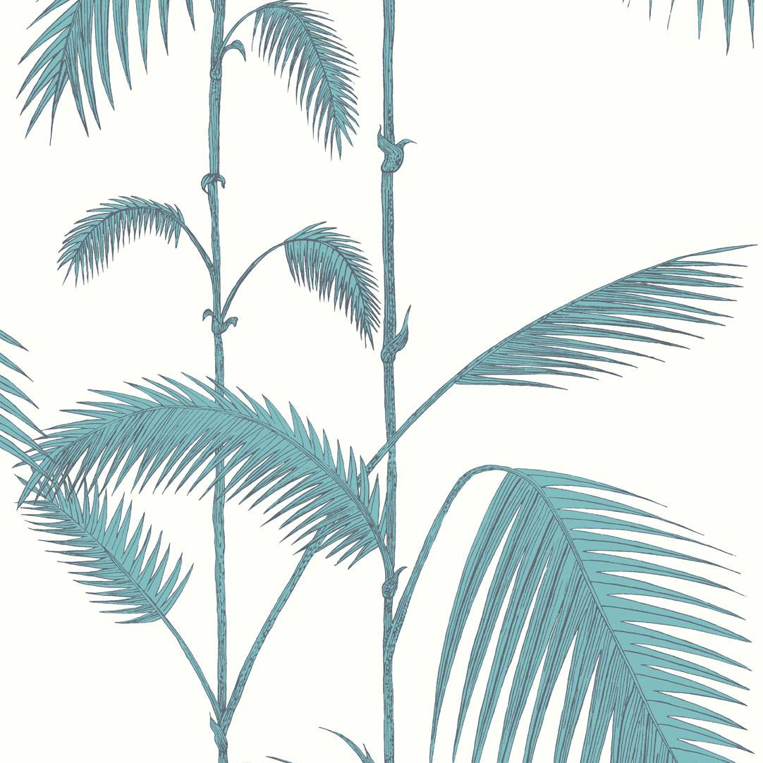 Palm Leaves