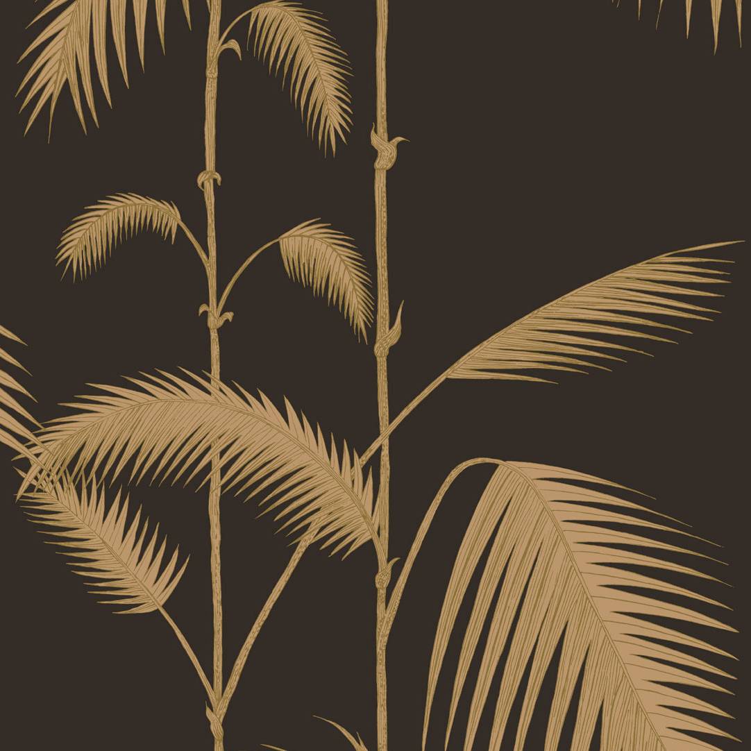 Palm Leaves