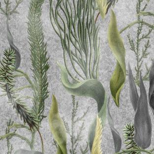 images/productimages/small/aquatic-plants-grey-wallpaper-52x60cm-wp20718.jpg