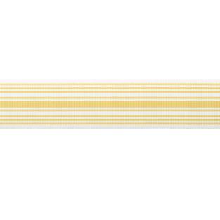 MDS Stripe Border