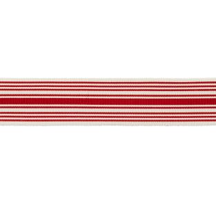 MDS Stripe Border