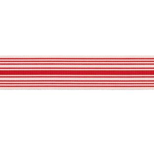 MDS Stripe Border