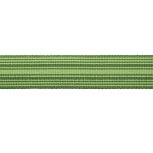 MDS Stripe Border