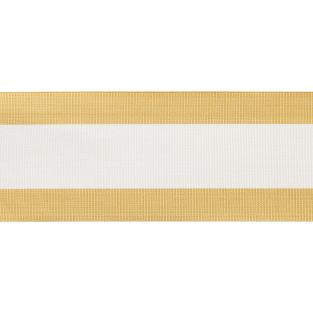 MDS Stripe Border