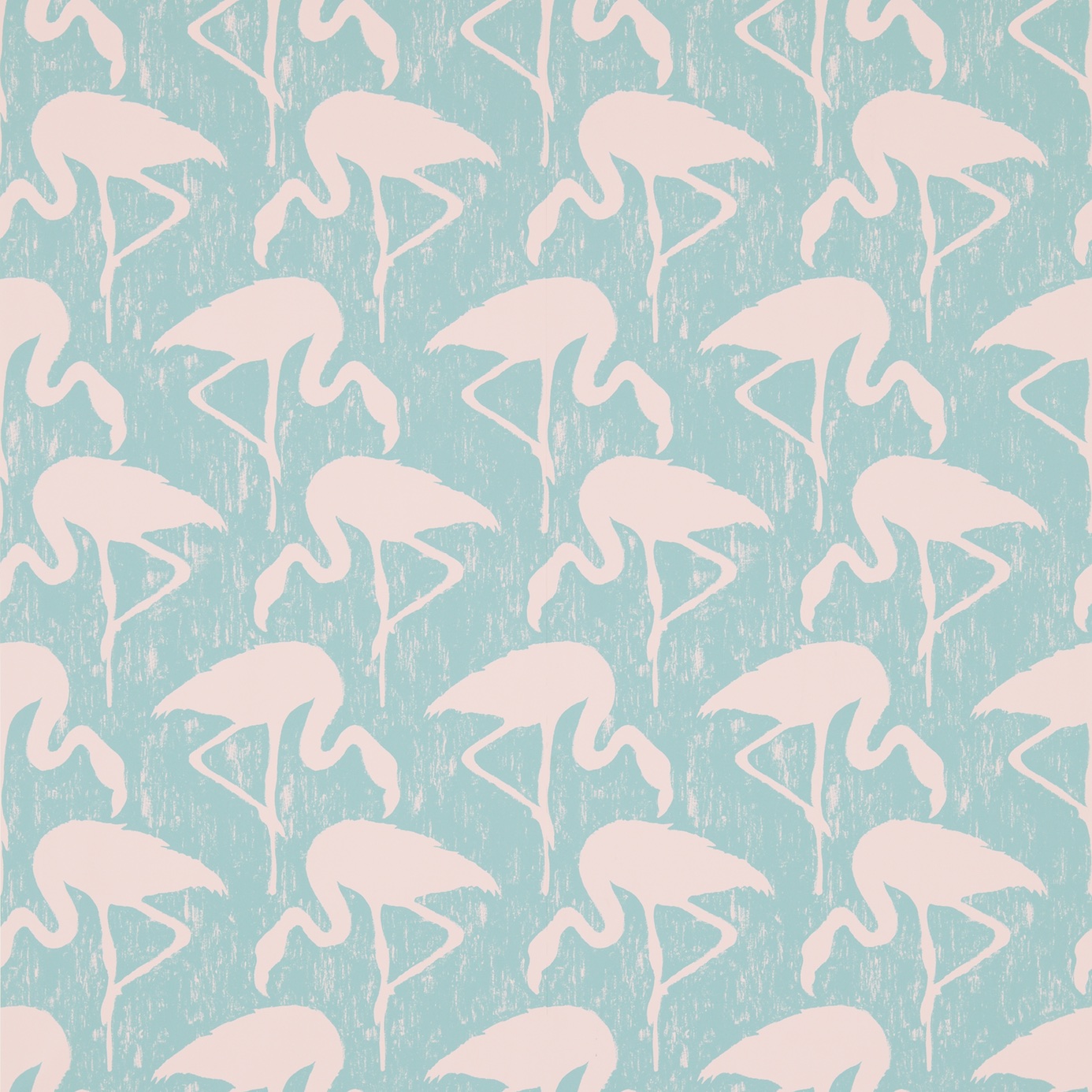 Flamingos