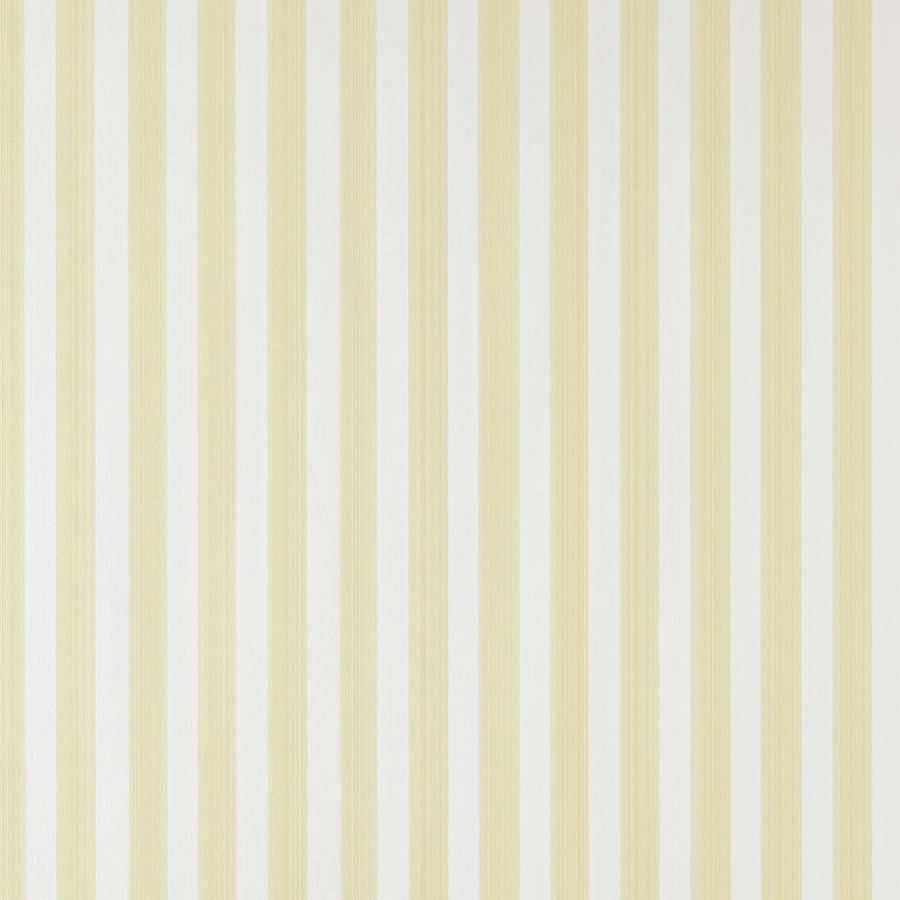 images/productimages/small/farrowandball-straightandnarrow-closetstripe-st356-01.jpg