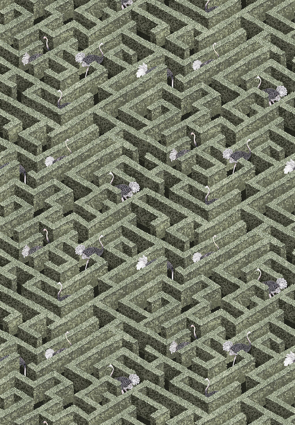 Labyrinth with Ostrich