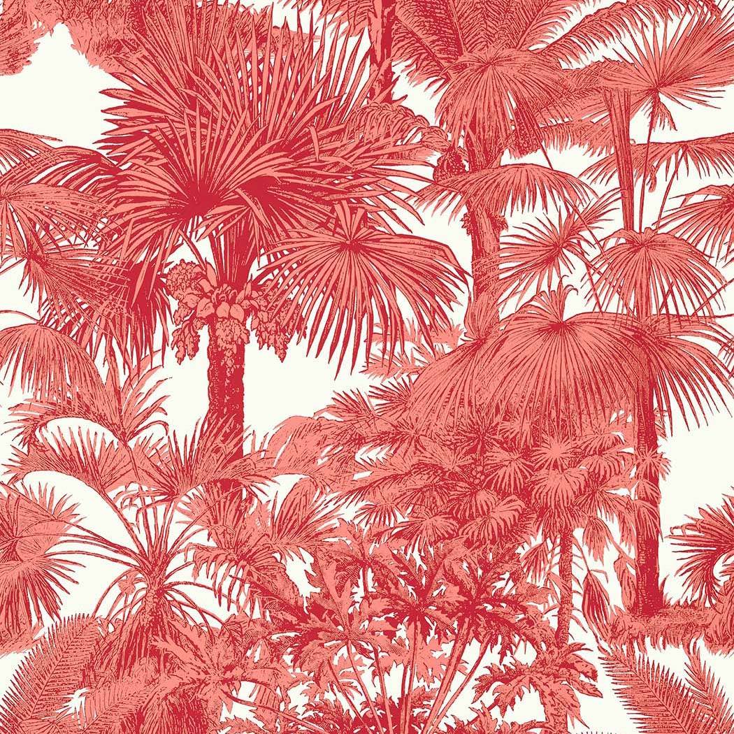 Palm Botanical