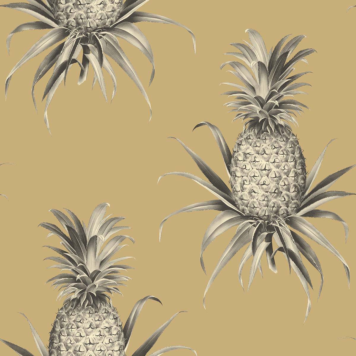 Florida Pineapples