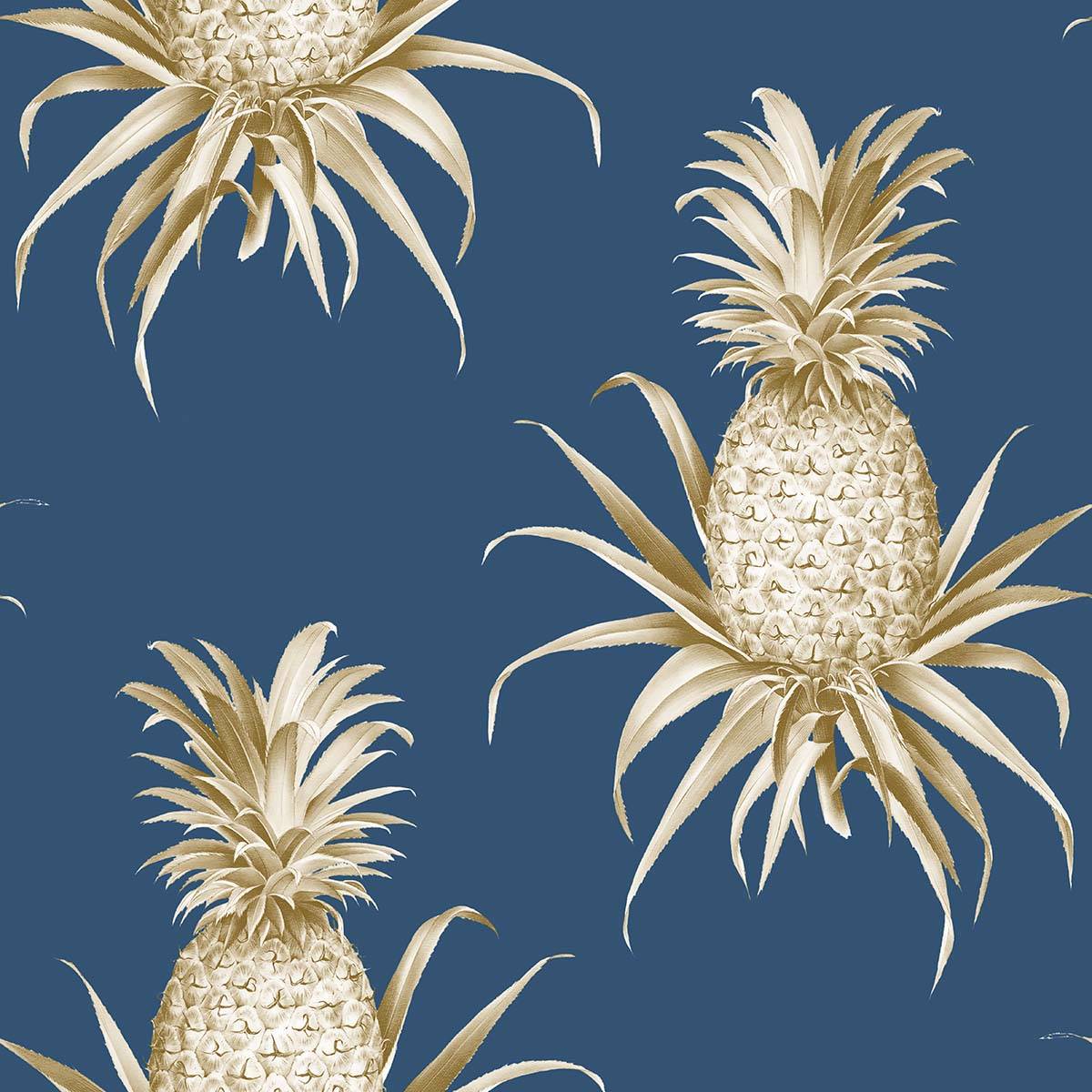 Florida Pineapples