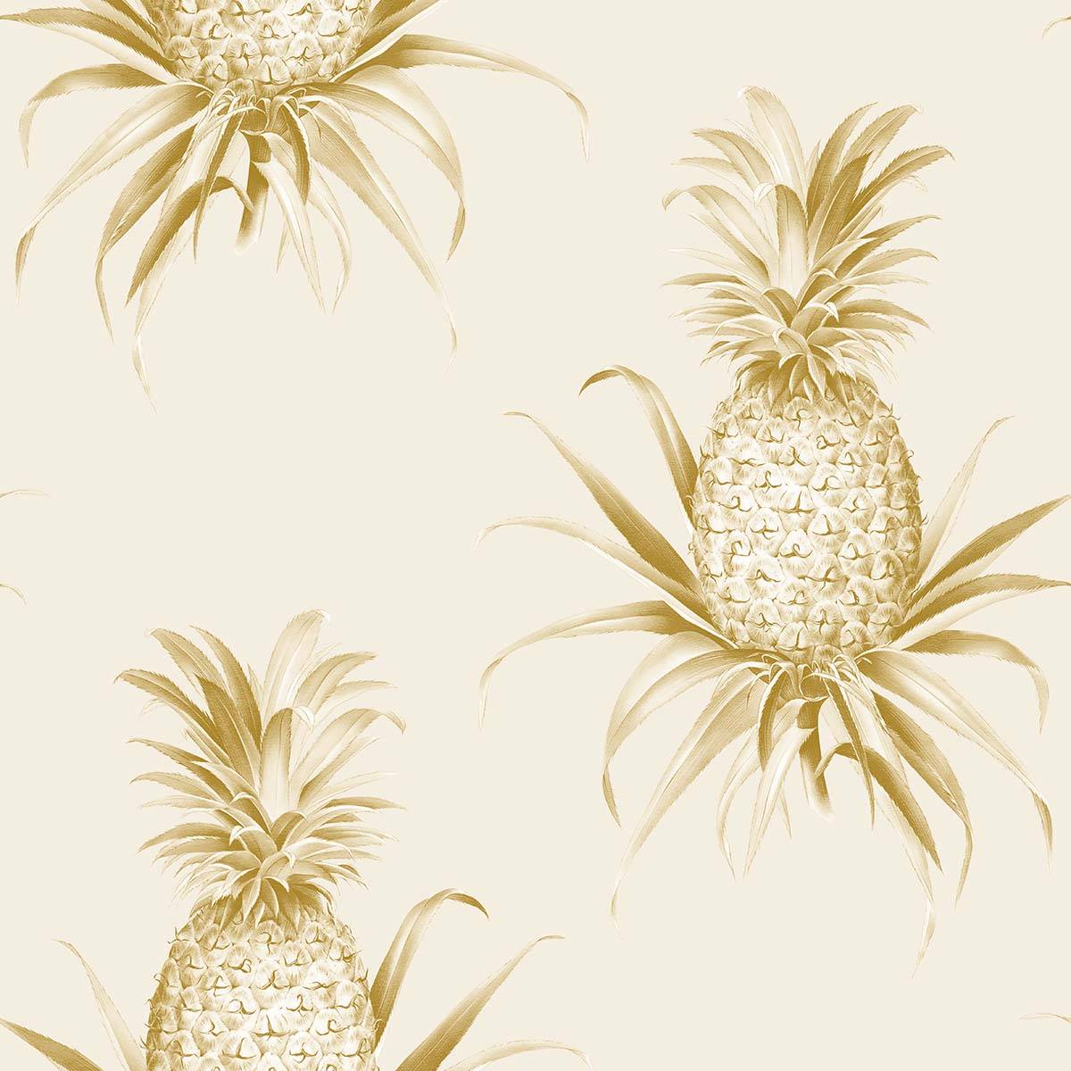 Florida Pineapples