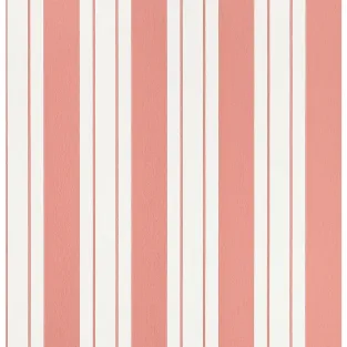 Ligorio Stripe