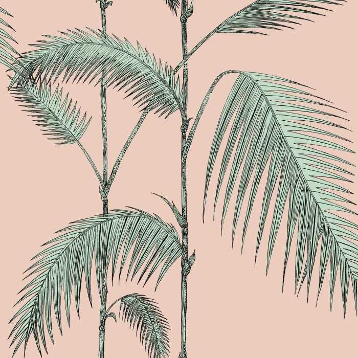 Palm Leaves