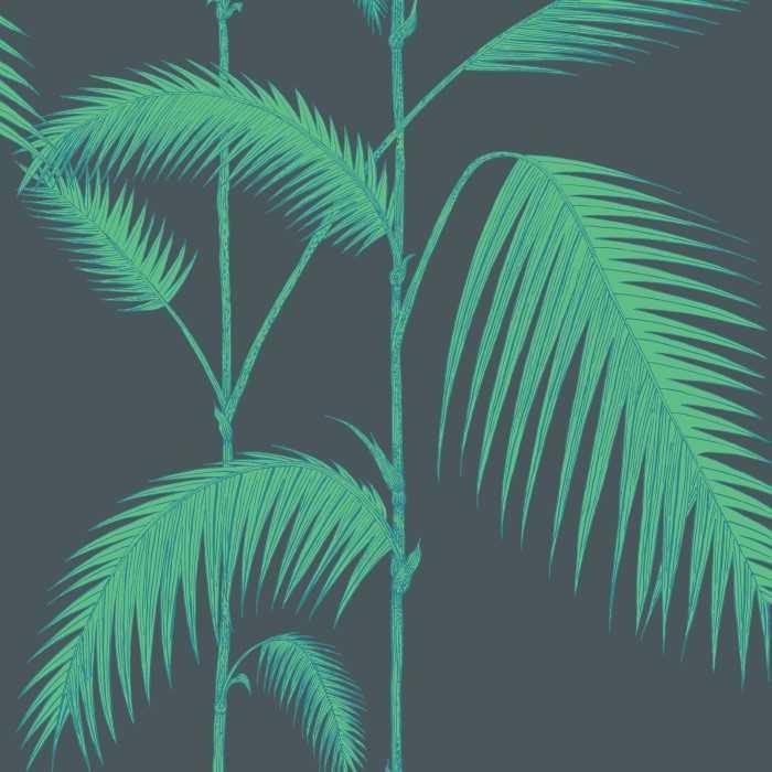 Palm Leaves