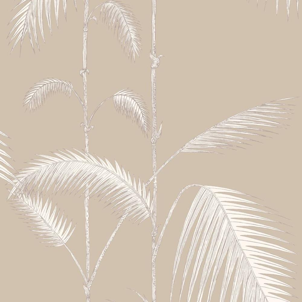 Palm Leaves