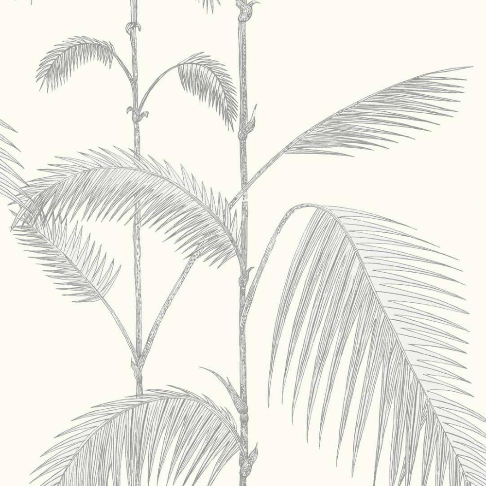 Palm Leaves