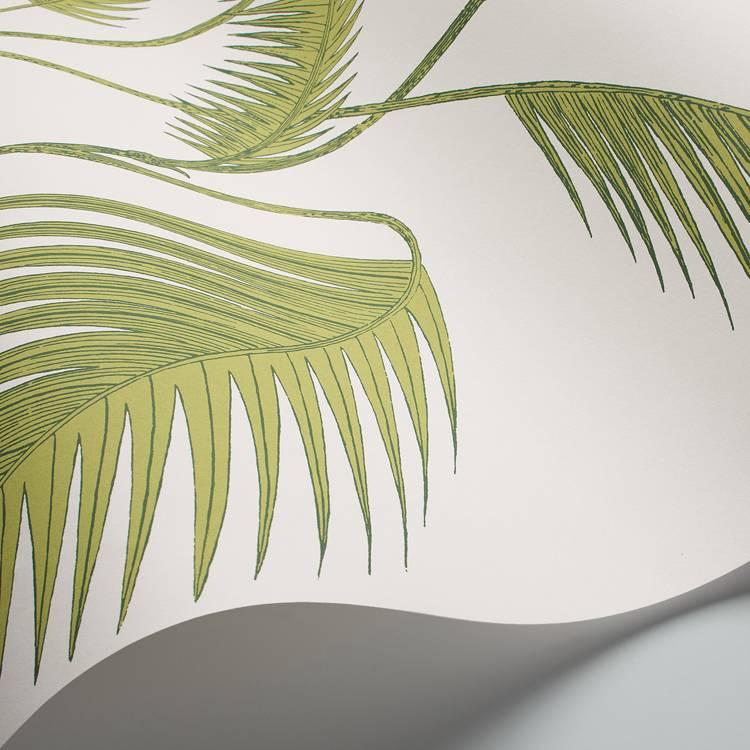 Palm Leaves