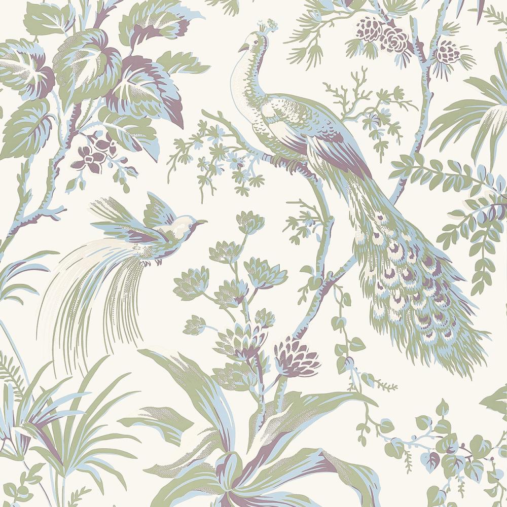 Peacock Toile