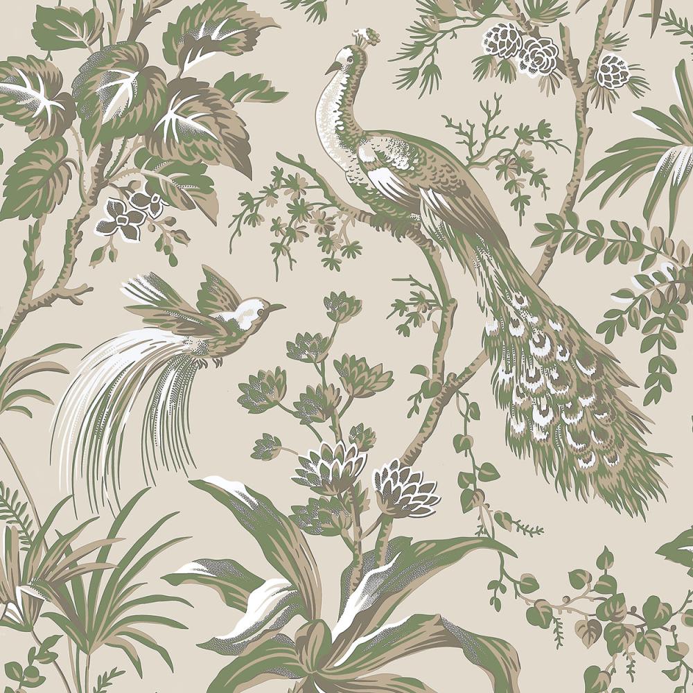 Peacock Toile