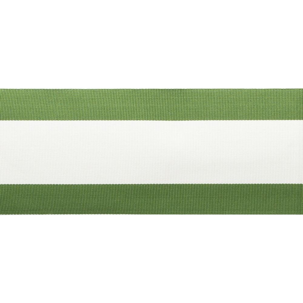 MDS Stripe Border